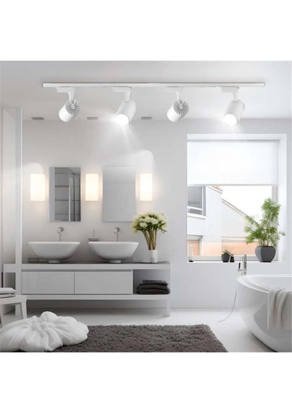 4'lü Ray Spot ve 1mt. Ray (Gün Işığı) 30W