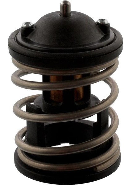 Bmw 4 Serisi F33 420D Termostat Behr