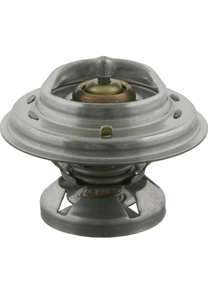 Mercedes E Serisi W210 E 250 Turbo-D Termostat 85 C Behr