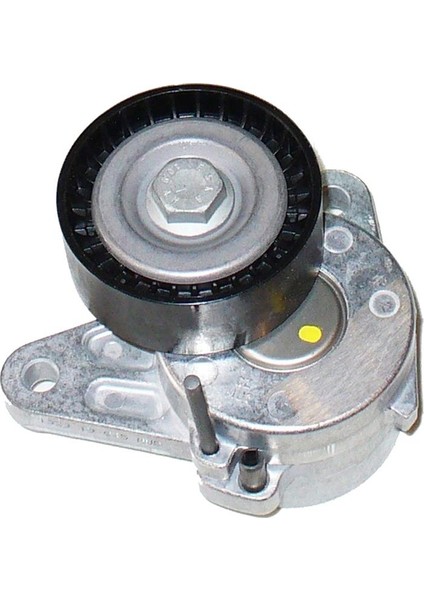 Audi A6 2.0 Tdı Quattro V Kayış Gergi Kütüğü Ina