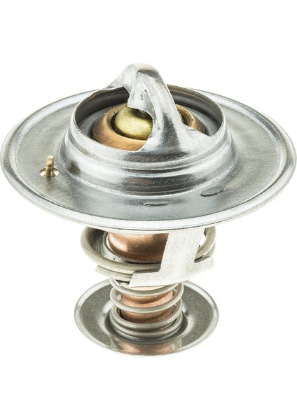 Mercedes E Serisi W210 E 280 Termostat 79 C Behr