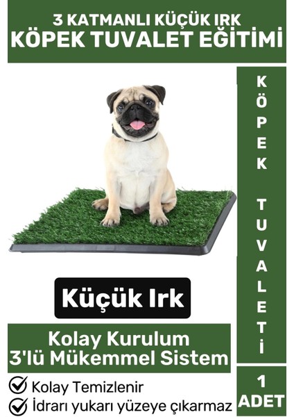 Pet Evcil Hayvan Köpek Eğitim 3 Katmanlı Sızdırmaz Kolay Temizlenir Küçük Irk Yavru Köpek Tuvaleti