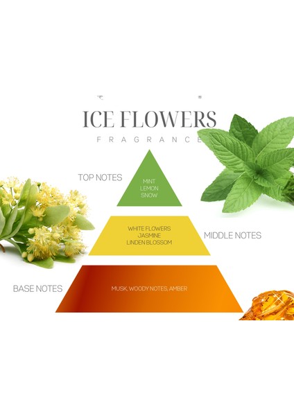 110 ml Silindir Şişe Ice Flowers Bambu Çubuklu Oda Kokusu fiyatları