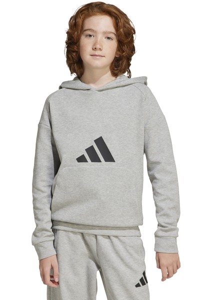 J Fı Logo Hd Sweatshirt Gri JJ4788