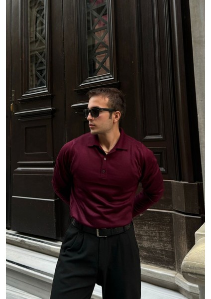 Erkek Standart Fit Normal Kesim Polo Yaka Triko Kazak fırsatları