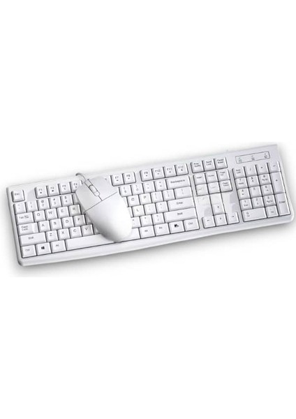 PG-8040 Klavye ve Mouse Seti