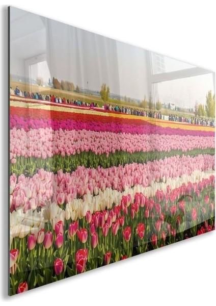 Doğa Manzaralı Cam Tablo - Anadolu - Yatay Motif 03-063 fiyatları