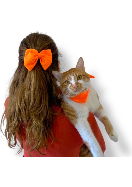Kedi ve Küçük Irk Köpek Tasması Köpek Fuları Toka ve Fular Takımı Şık Fular Takımı Köpek Fuları Kedi ve Yetişkin Tokası Arkadan Bağlamalı Fular