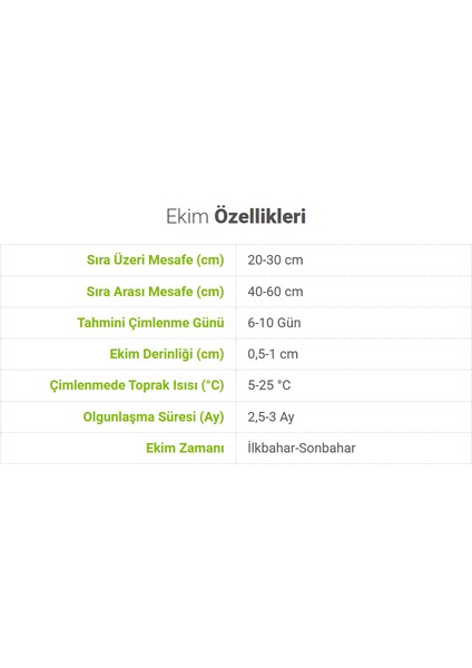 Sunagri Kıvırcık Marul Tohumu - Yeşil Dalgalı Yapraklı, Gevrek ve Dayanıklı Çeşit