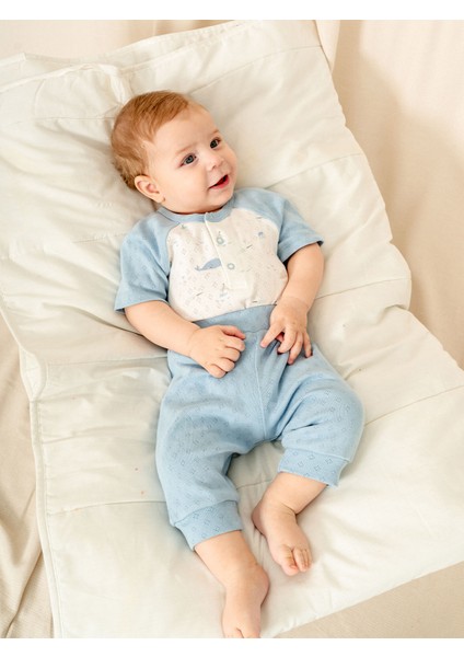 Jakarlı Çıtçıtlı Body Patiksiz Alt Erkek Bebe Takımı fiyatları