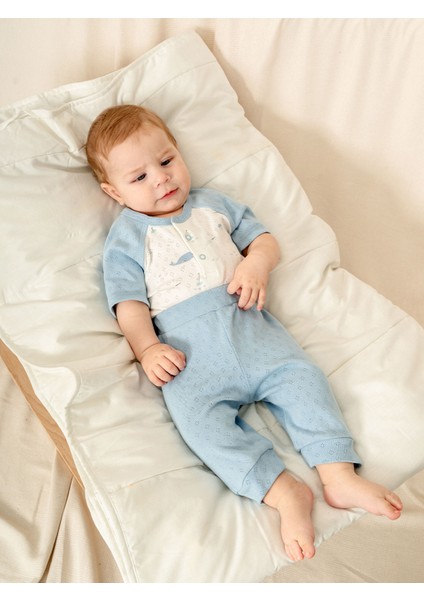 Jakarlı Çıtçıtlı Body Patiksiz Alt Erkek Bebe Takımı modelleri