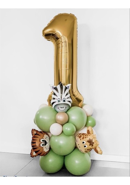 1yaş Safari Balon