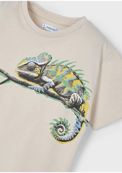 Erkek Çocuk Tshirt 3045 4/10 Yaş modelleri