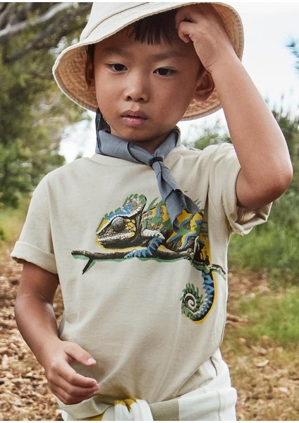 Erkek Çocuk Tshirt 3045 4/10 Yaş fırsatları