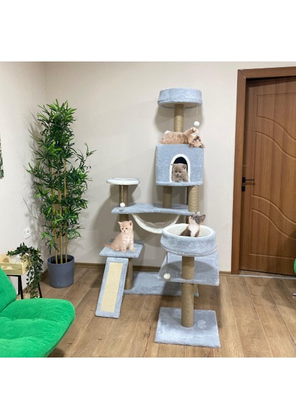 Hamaklı Minder Ve Balık Stepli Kedi Tırmalam Evi indirimleri