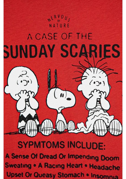 Peanuts Baskılı Pamuklu Regular Fit Bisiklet Yaka T Shirt Erkek Çocuk T Shirt 3x1sc10nı modelleri