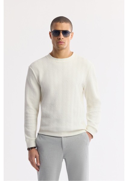 Erkek Ekru Bisiklet Yaka Jakarlı Elastan Sweatshirt A51y1228
