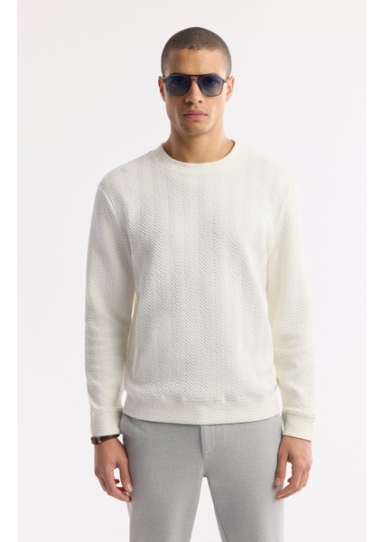 Erkek Ekru Bisiklet Yaka Jakarlı Elastan Sweatshirt A51y1228 indirimleri