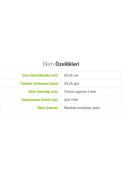 Sunagri Nane Tohumu - Aromatik, Tıbbi Özellikli, Çok Yıllık, Kolay Yetiştirilir fırsatları