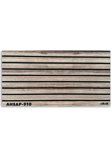 AHSAP-910