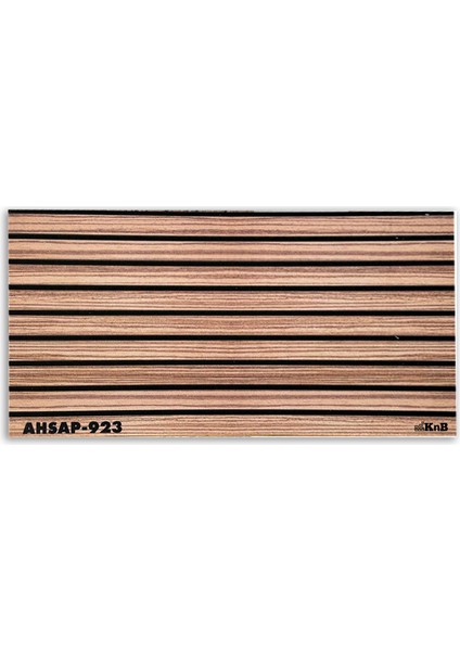 AHSAP-923