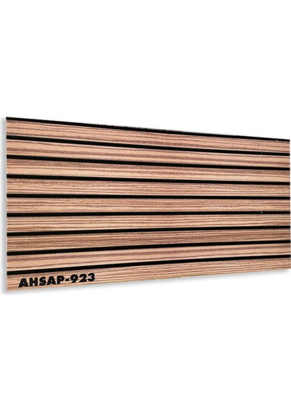 AHSAP-923