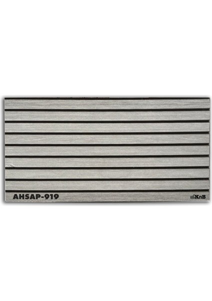 AHSAP-919
