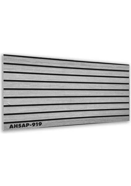 AHSAP-919
