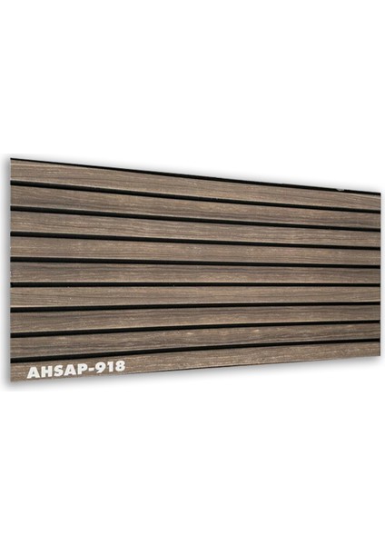 AHSAP-918