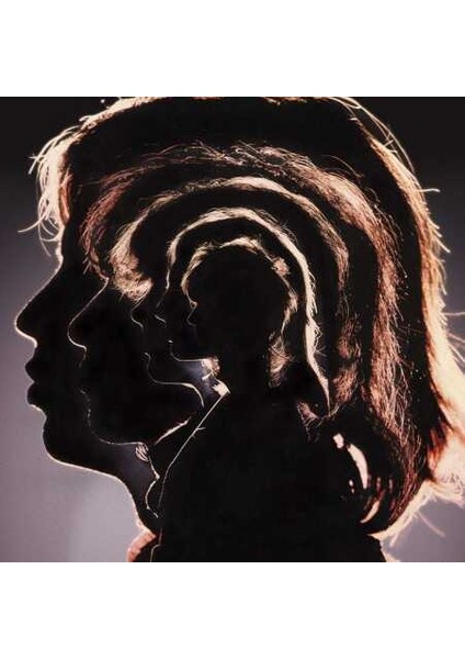 The Rolling Stones - Hot Rocks 1964-1971 -Plak