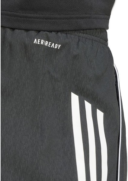 Adidas TIRO25C Dt Sho Erkek Şort
