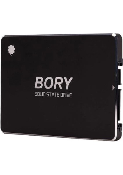 1 Tb Bory Sata3 R500-C1T SSD 550/510 Mbs (3 Yıl Garantili)