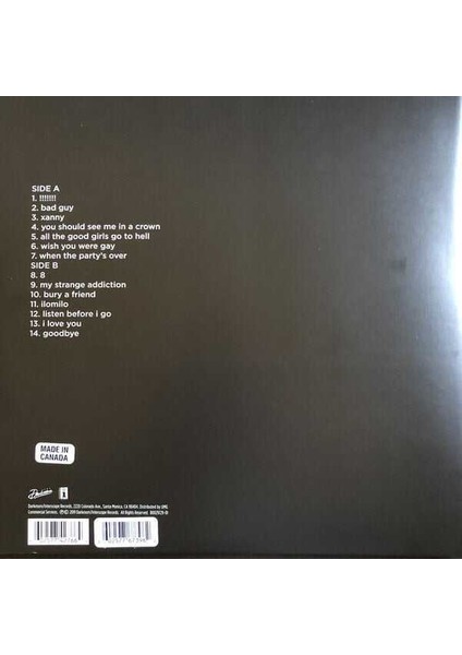 Billie Eilish - When We All Fall As Plak