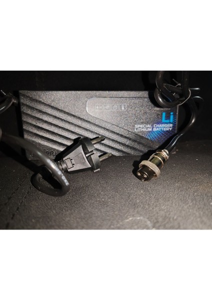 013 Plus Hızlı Elektrikli Scooter Şarj Aleti 48 Volt Lityum Için