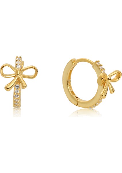 Kadın 925 Ayar Gümüş Zirkon Taşlı Küpe fırsatları