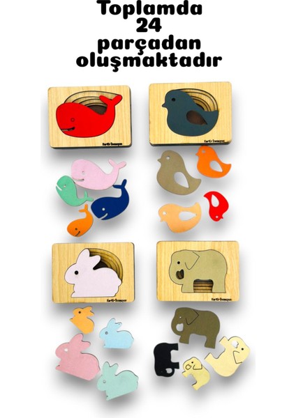 Bul Tak Oyuncak Seti,tak Çıkar Oyuncak Seti,eğitici Oyuncak,ahşap Oyuncaklar