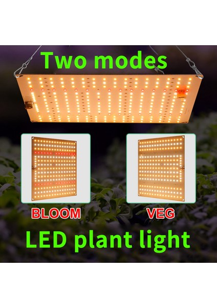 Kapalı Bitkiler Için Işık Büyümeye Yol Açtı Phyto Lamba Kuantum Fide Büyümek Tam Spektrum Kurulu Büyüme Işıkları 50W-(H2)US Plug (Yurt Dışından) indirimleri