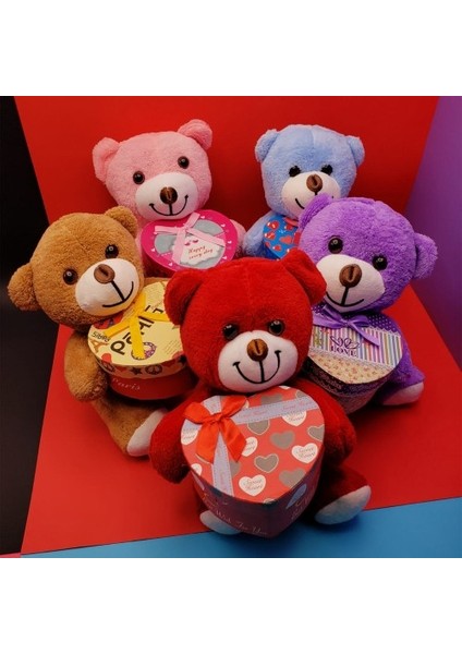 Kutulu Peluş Ayıcık Tdrtr