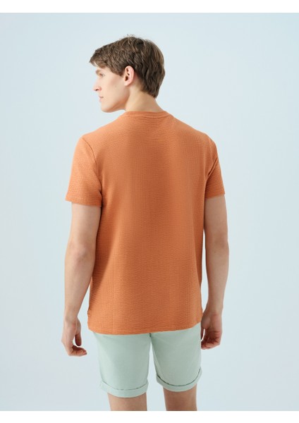 Regular Fit Erkek Tshirt K.kol