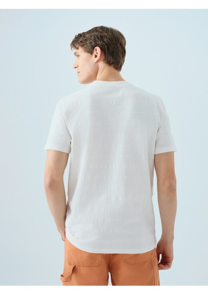 Regular Fit Erkek Tshirt K.kol