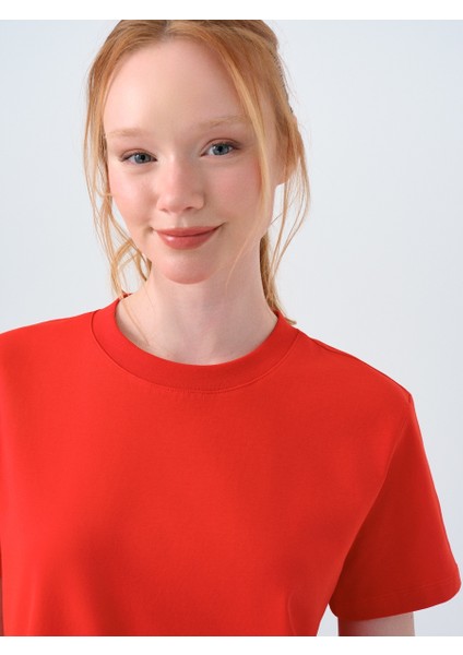 Regular Fit Kadın Tshirt K.kol fırsatları