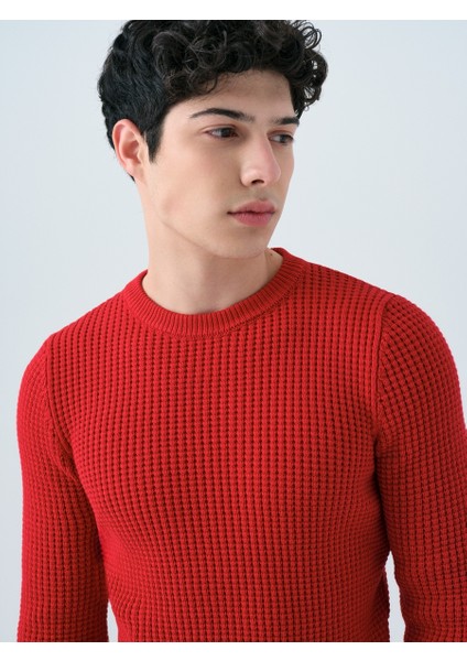 Regular Fit Erkek Kazak fırsatları