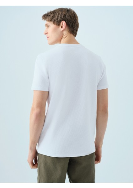 Regular Fit Erkek Tshirt K.kol