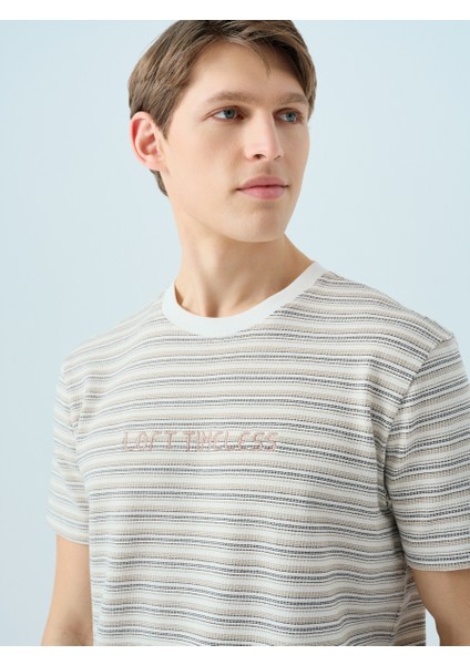Regular Fit Erkek Tshirt K.kol