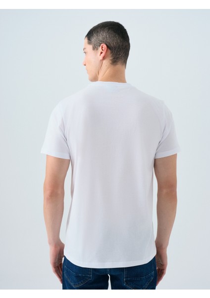 Regular Fit Erkek Tshirt K.kol