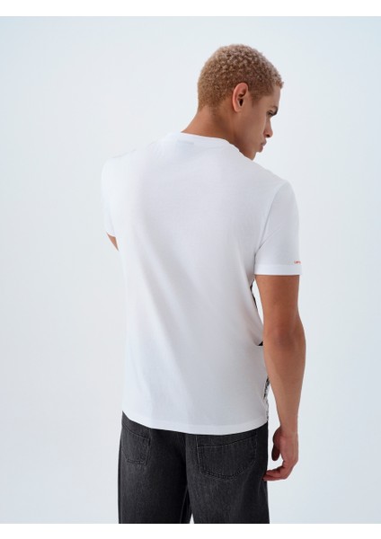 Regular Fit Erkek Tshirt K.kol