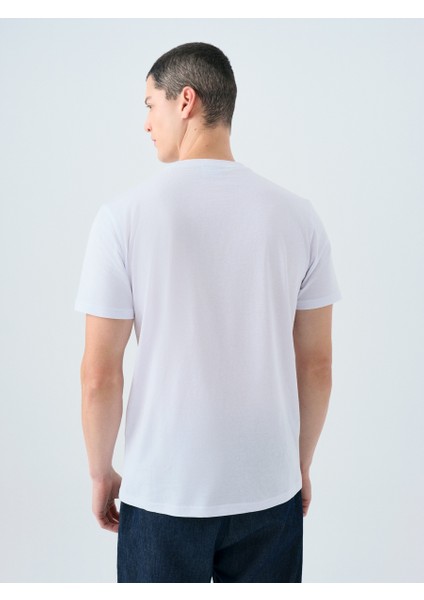 Regular Fit Erkek Tshirt K.kol