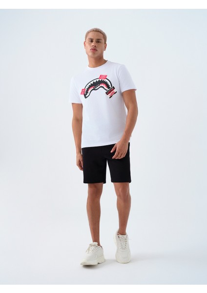Regular Fit Erkek Şort