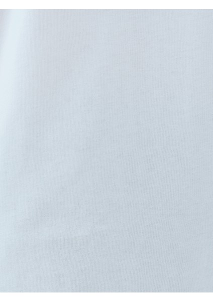 Regular Fit Erkek Tshirt K.kol