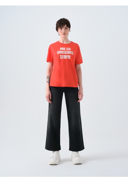 Regular Fit Kadın Tshirt K.kol fiyatları